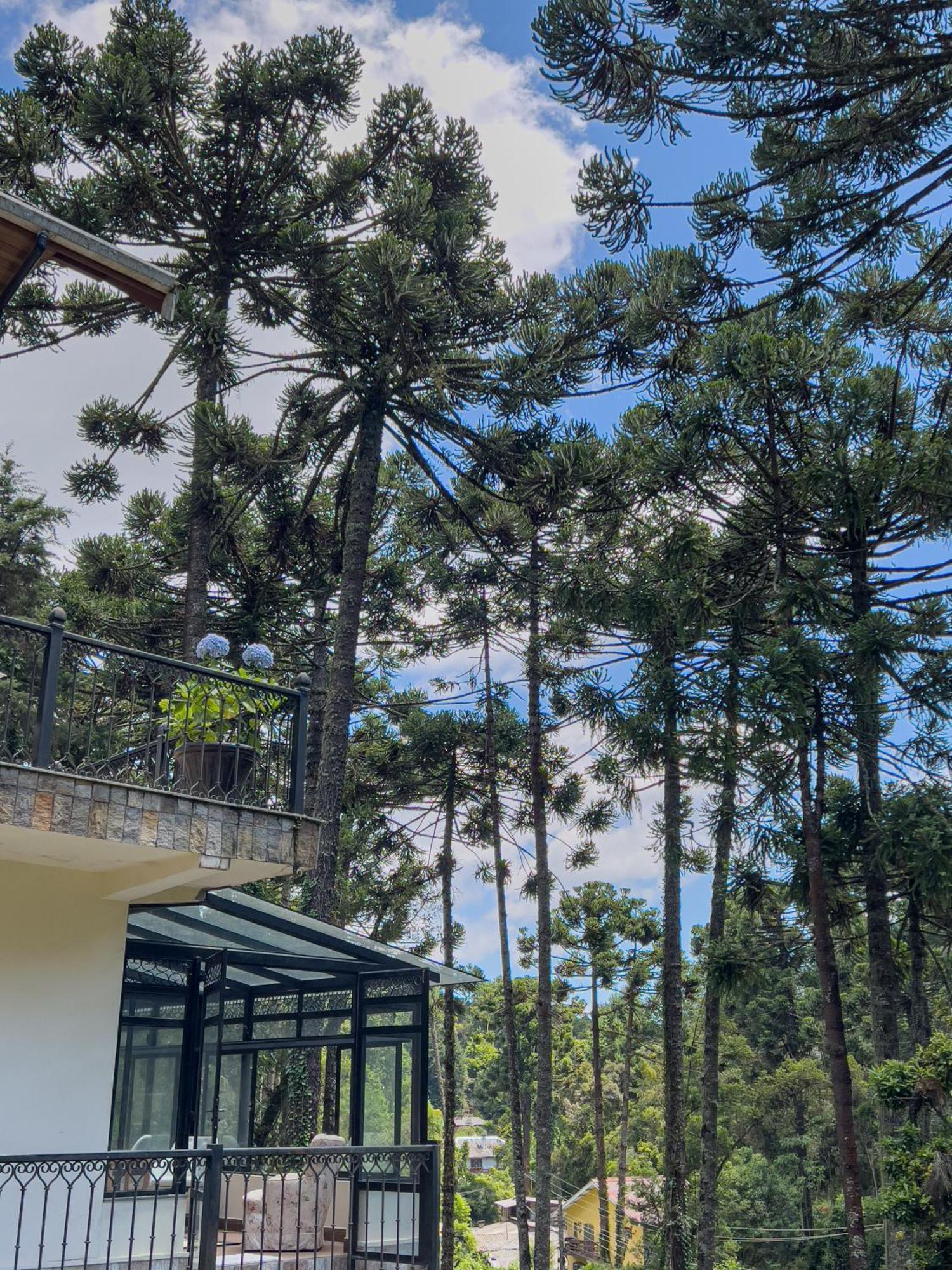 Recanto Do Pepe Hotell Campos do Jordão Eksteriør bilde